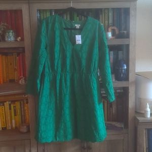 Green long sleeved J. Crew Sundress NWT